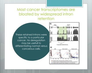 Most cancer transcriptomes are
bloated by widespread intron
retention
These retained introns were
specific to a particular
cancer, his deregulation
may be usefull to
differentiating normal versus
cancerous cells.
 