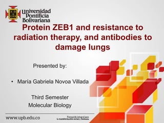 Protein ZEB1 and resistance to 
radiation therapy, and antibodies to 
damage lungs 
Presented by: 
• María Gabriela Novoa Villada 
Third Semester 
Molecular Biology 
 