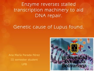 Enzyme reverses stalled
transcription machinery to aid
DNA repair.
Genetic cause of Lupus found.

Ana María Parada Pérez
III semester student
UPB

 