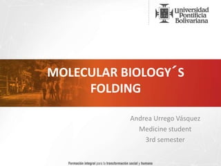 MOLECULAR BIOLOGY´S
FOLDING
Andrea Urrego Vásquez
Medicine student
3rd semester
 