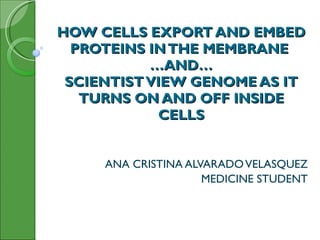 HOW CELLS EXPORT AND EMBED PROTEINS IN THE MEMBRANE  …AND… SCIENTIST VIEW GENOME AS IT TURNS ON AND OFF INSIDE CELLS   ANA CRISTINA ALVARADO VELASQUEZ MEDICINE STUDENT 