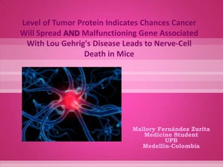 Level of Tumor Protein Indicates Chances Cancer Will Spread AND Malfunctioning Gene Associated With Lou Gehrig's Disease Leads to Nerve-Cell Death in Mice Mallory Fernández Zurita Medicine Student UPB Medellín-Colombia 