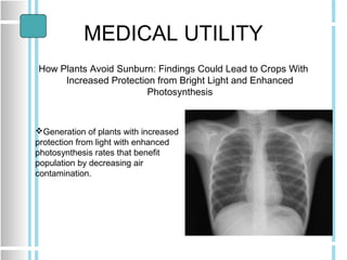 MEDICAL UTILITY
How Plants Avoid Sunburn: Findings Could Lead to Crops With
Increased Protection from Bright Light and Enh...