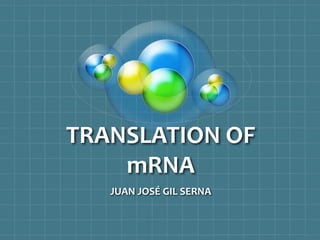 TRANSLATION OF
mRNA
JUAN JOSÉ GIL SERNA
 