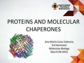 PROTEINS AND MOLECULAR
CHAPERONES
Ana María Cano Valencia
3rd Semester
Molecular Biology
March 09-2015
 