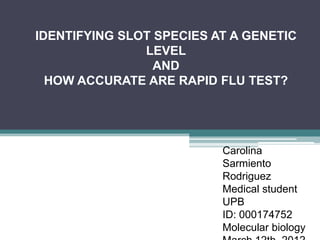 IDENTIFYING SLOT SPECIES AT A GENETIC
               LEVEL
                 AND
  HOW ACCURATE ARE RAPID FLU TEST?




                          Carolina
                          Sarmiento
                          Rodriguez
                          Medical student
                          UPB
                          ID: 000174752
                          Molecular biology
 