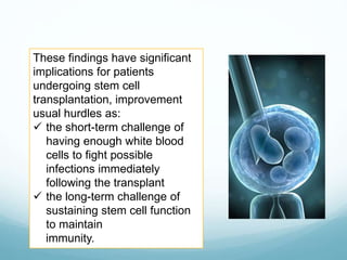These findings have significant
implications for patients
undergoing stem cell
transplantation, improvement
usual hurdles as:
 the short-term challenge of
having enough white blood
cells to fight possible
infections immediately
following the transplant
 the long-term challenge of
sustaining stem cell function
to maintain
immunity.
 