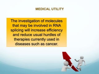 MEDICAL UTILITY
The investigation of molecules
that may be involved in RNA
splicing will increase efficiency
and reduce usual hurdles of
therapies currently used in
diseases such as cancer.
 