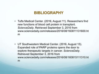 BIBLIOGRAPHY
• Tufts Medical Center. (2016, August 11). Researchers find
new functions of blood cell protein in transplant.
ScienceDaily. Retrieved September 3, 2016 from
www.sciencedaily.com/releases/2016/08/160811131600.ht
m
• UT Southwestern Medical Center. (2016, August 15).
Expanded role of PARP proteins opens the door to
explore therapeutic targets in cancer. ScienceDaily.
Retrieved September 3, 2016 from
www.sciencedaily.com/releases/2016/08/160815111310.ht
m
 