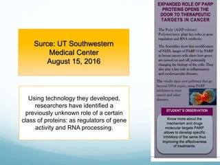 Surce: UT Southwestern
Medical Center
August 15, 2016
Using technology they developed,
researchers have identified a
previously unknown role of a certain
class of proteins: as regulators of gene
activity and RNA processing.
 