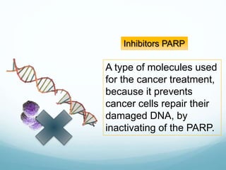 Inhibitors PARP
A type of molecules used
for the cancer treatment,
because it prevents
cancer cells repair their
damaged DNA, by
inactivating of the PARP.
 