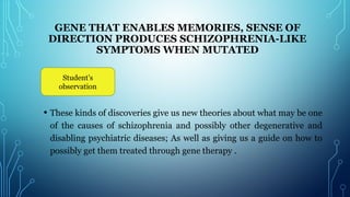 GENE THAT ENABLES MEMORIES, SENSE OF
DIRECTION PRODUCES SCHIZOPHRENIA-LIKE
SYMPTOMS WHEN MUTATED
 
• These kinds of discoveries give us new theories about what may be one
of the causes of schizophrenia and possibly other degenerative and
disabling psychiatric diseases; As well as giving us a guide on how to
possibly get them treated through gene therapy .
Student’s
observation
 