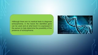 •Although there are no medical tests to diagnose
schizophrenia, in the future the identified gene
can be used and at what level it is expressed in
the person to help determine the possibility of the
presence of schizophrenia.
 