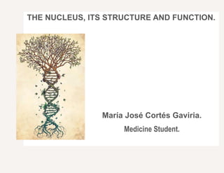 THE NUCLEUS, ITS STRUCTURE AND FUNCTION.
María José Cortés Gaviria.
Medicine Student.
 