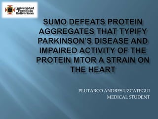SUMO Defeats Protein Aggregates That Typify Parkinson’s Disease and Impaired Activity of the Protein MTOR a Strain On the Heart PLUTARCO ANDRES UZCATEGUI MEDICAL STUDENT 