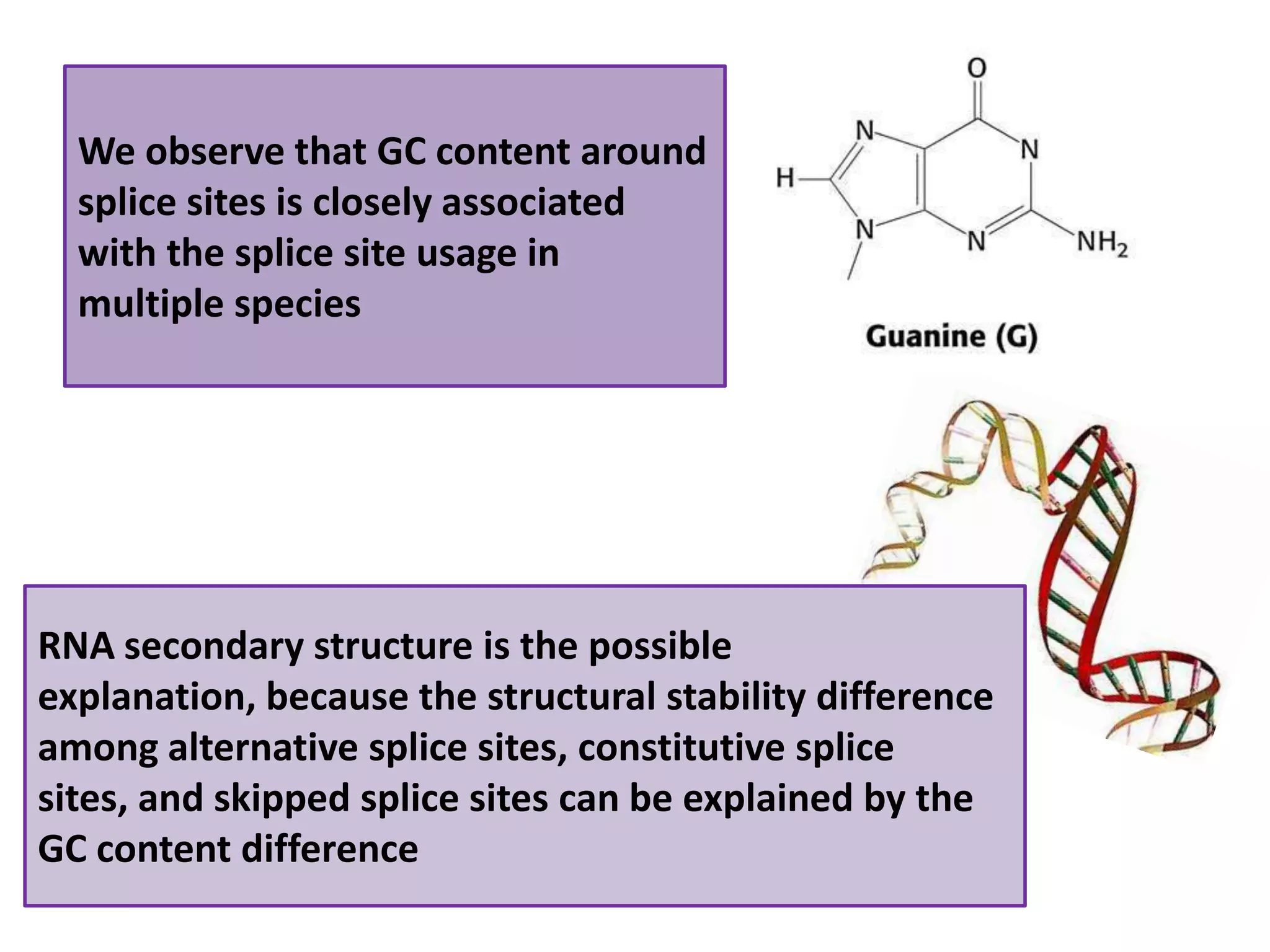 We observe that GC content around splice sites is closely associated with the splice site usage in multiple speciesRNA secondary structure is the possible explanation, because the structural stability difference among alternative splice sites, constitutive splice sites, and skipped splice sites can be explained by the GC content difference