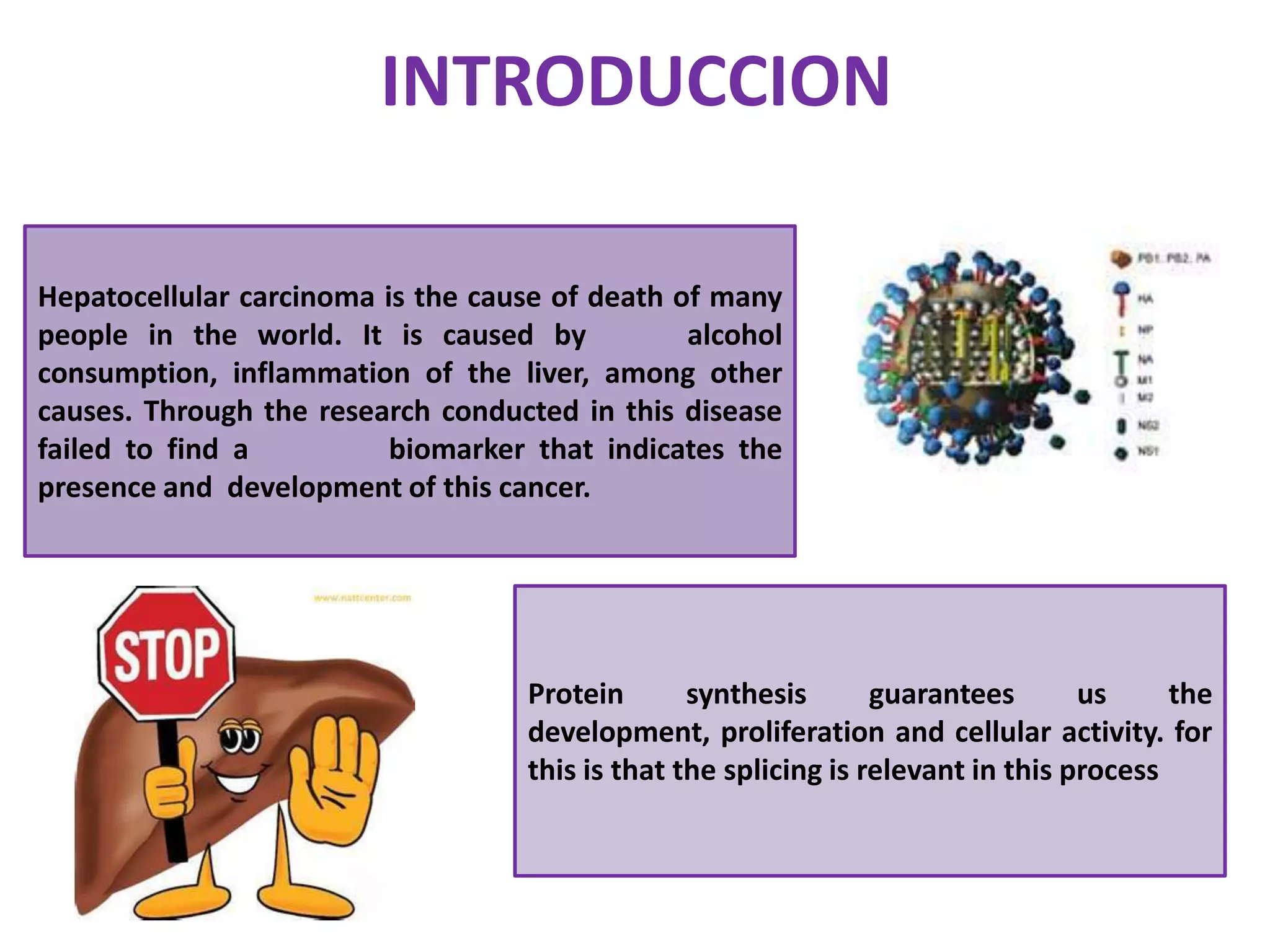 INTRODUCCION Hepatocellular carcinoma is the cause of death of many people in the world. It is caused by     alcohol consumption, inflammation of the liver, among other causes. Through the research conducted in this disease failed to find a          biomarker that indicates the presence and  development of this cancer.Protein synthesis guarantees us the development, proliferation and cellular activity. for this is that the splicing is relevant in this process