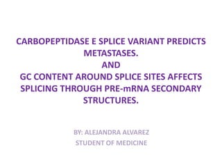 CARBOPEPTIDASE E SPLICE VARIANT PREDICTS METASTASES.ANDGC CONTENT AROUND SPLICE SITES AFFECTS SPLICING THROUGH PRE-mRNA SECONDARY STRUCTURES.   BY: ALEJANDRA ALVAREZ STUDENT OF MEDICINE   