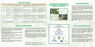 LÍNEA DEL TIEMPO
   CAPITALES                 ANTES DE 1984                                            1984 – 90          ...