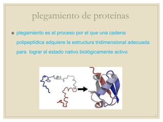  plegamiento es el proceso por el que una cadena
polipeptídica adquiere la estructura tridimensional adecuada
para lograr el estado nativo biológicamente activo
plegamiento de proteínas
1
 
