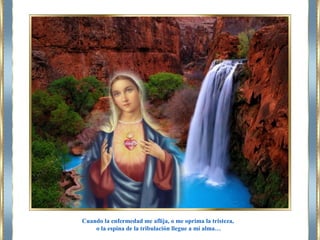 Cuando la enfermedad me aflija, o me oprima la tristeza,
o la espina de la tribulación llegue a mi alma…
 