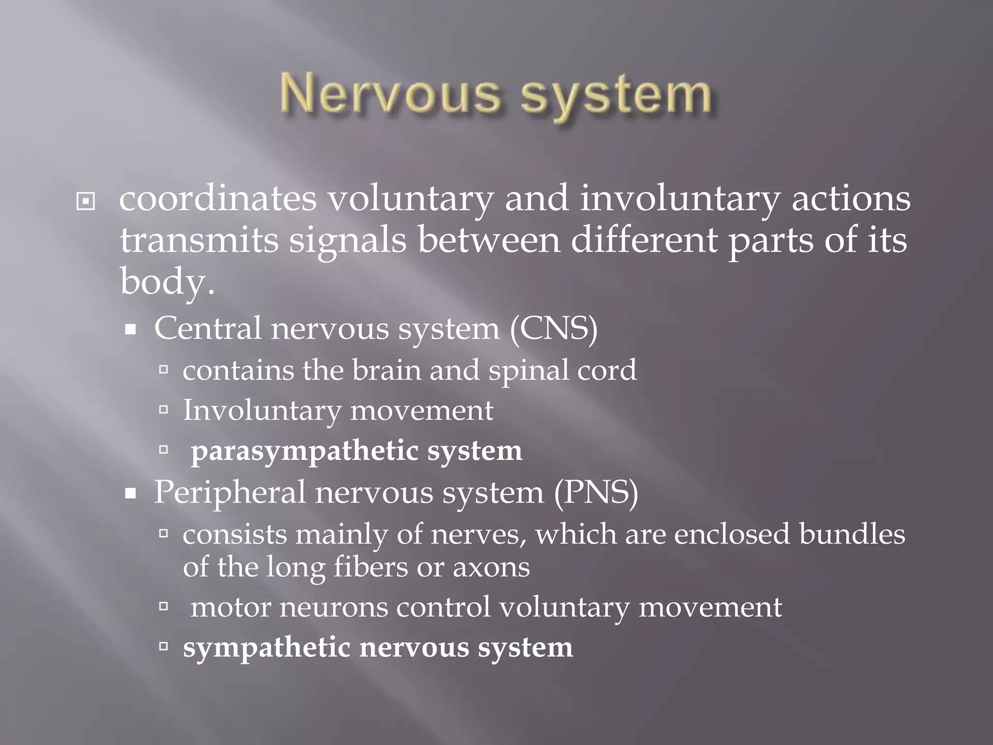 Nervous system, bio 120 | PPTX