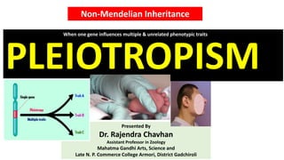 PLEIOTROPISM
Presented By
Dr. Rajendra Chavhan
Assistant Professor in Zoology
Mahatma Gandhi Arts, Science and
Late N. P. Commerce College Armori, District Gadchiroli
Non-Mendelian Inheritance
When one gene influences multiple & unrelated phenotypic traits
 