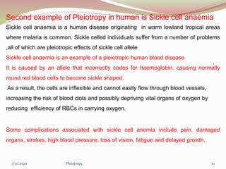 Second example of Pleiotropy in human is Sickle cell anaemia
Sickle cell anaemia is a human disease originating in warm lowland tropical areas
where malaria is common. Sickle celled individuals suffer from a number of problems
,all of which are pleiotropic effects of sickle cell allele
Sickle cell anaemia is an example of a pleiotropic human blood disease
It is caused by an allele that incorrectly codes for haemoglobin, causing normally
round red blood cells to become sickle shaped.
As a result, the cells are inflexible and cannot easily flow through blood vessels,
increasing the risk of blood clots and possibly depriving vital organs of oxygen by
reducing efficiency of RBCs in carrying oxygen.
Some complications associated with sickle cell anemia include pain, damaged
organs, strokes, high blood pressure, loss of vision, fatigue and delayed growth.
.
Pleiotropy 107/31/2020
 