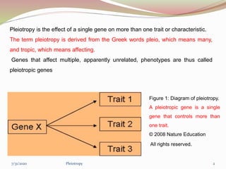 Pleiotropy is the effect of a single gene on more than one trait or characteristic.
The term pleiotropy is derived from the Greek words pleio, which means many,
and tropic, which means affecting.
Genes that affect multiple, apparently unrelated, phenotypes are thus called
pleiotropic genes
Figure 1: Diagram of pleiotropy.
A pleiotropic gene is a single
gene that controls more than
one trait.
© 2008 Nature Education
All rights reserved.
Pleiotropy 27/31/2020
 