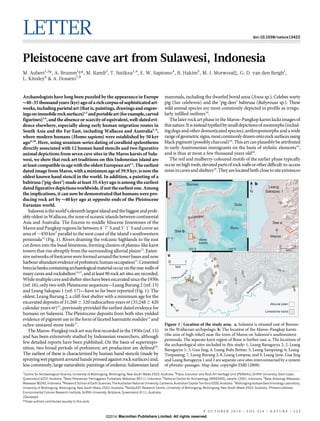 LETTER doi:10.1038/nature13422 
Pleistocene cave art from Sulawesi, Indonesia 
M. Aubert1,2*, A. Brumm1{*, M. Ramli3, T. Sutikna1,4, E. W. Saptomo4, B. Hakim5, M. J. Morwood{, G. D. van den Bergh1, 
L. Kinsley6 & A. Dosseto7,8 
Archaeologists have long been puzzled by the appearance in Europe 
40–35 thousand years (kyr) ago of a rich corpus of sophisticated art-works, 
including parietal art (that is, paintings, drawings and engrav-ingsonimmobile 
rock surfaces)1,2 andportable art (for example, carved 
figurines)3,4, and the absence or scarcity of equivalent, well-dated evi-dence 
elsewhere, especially along early human migration routes in 
South Asia and the Far East, including Wallacea and Australia5–8, 
where modern humans (Homo sapiens) were established by 50 kyr 
ago9,10. Here, using uranium-series dating of coralloid speleothems 
directly associated with 12 human hand stencils and two figurative 
animal depictions from seven cave sites in the Maros karsts of Sula-wesi, 
we show that rock art traditions on this Indonesian island are 
at least compatible in age with the oldest European art11. The earliest 
dated image fromMaros, with aminimumage of 39.9 kyr, is nowthe 
oldest known hand stencil in the world. In addition, a painting of a 
babirusa (‘pig-deer’) made at least 35.4 kyr ago is among the earliest 
dated figurative depictionsworldwide, ifnot the earliest one.Among 
the implications, it can nowbe demonstrated that humans were pro-ducing 
rock art by 40 kyr ago at opposite ends of the Pleistocene 
Eurasian world. 
Sulawesi is theworld’s eleventh largest island and the biggest and prob-ably 
oldest in Wallacea, the zone of oceanic islands between continental 
Asia and Australia. The Eocene to middle Miocene limestones of the 
Maros and Pangkep regions lie between 4u 79 S and5u 19 S and cover an 
area of,450km2 parallel to the west coast of the island’s southwestern 
peninsula12 (Fig. 1). Rivers draining the volcanic highlands to the east 
cut down into the basal limestone, forming clusters of plateau-like karst 
towers that rise abruptly from the surrounding alluvial plains12. Exten-sive 
networks of footcaves were formed aroundthe tower bases and now 
harbour abundant evidence of prehistorichumanoccupation13.Cemented 
breccia banks containing archaeological material occur on the rearwalls of 
many caves and rockshelters14,15, and at least 90 rock art sites are recorded. 
Whilemultiple cave and shelter sites have been excavated since the 1930s 
(ref. 16), only two with Pleistocene sequences—Leang Burung 2 (ref. 13) 
and Leang Sakapao 1 (ref. 17)—have so far been reported (Fig. 1). The 
oldest, Leang Burung 2, a cliff-foot shelter with a minimum age for the 
excavated deposits of 31,2606320 radiocarbon years BP (35,2486420 
calendar years BP)13, previously provided the earliest dated evidence for 
humans on Sulawesi. The Pleistocene deposits from both sites yielded 
evidence of pigment use in the form of faceted haematite nodules13 and 
ochre-smeared stone tools17. 
The Maros–Pangkep rock art was first recorded in the 1950s (ref. 15) 
and has been extensively studied by Indonesian researchers, although 
few detailed reports have been published. On the basis of superimpo-sition, 
two broad periods of prehistoric art production are defined18. 
The earliest of these is characterized by human hand stencils (made by 
spraying wet pigment around hands pressed against rock surfaces) and, 
less commonly, large naturalistic paintings of endemic Sulawesian land 
mammals, including the dwarfed bovid anoa (Anoa sp.), Celebes warty 
pig (Sus celebensis) and the ‘pig-deer’ babirusa (Babyrousa sp.). These 
wild animal species are most commonly depicted in profile as irregu-larly 
infilled outlines18. 
The later rock art phase in the Maros–Pangkep karsts lacks images of 
this nature. It is instead typified by small depictions of zoomorphs (includ-ing 
dogs and other domesticated species), anthropomorphs and a wide 
range of geometric signs,most commonly drawn onto rock surfaces using 
black pigment (possibly charcoal)18. This art can plausibly be attributed 
to early Austronesian immigrants on the basis of stylistic elements19, 
and is thus at most a few thousand years old20. 
The red and mulberry-coloured motifs of the earlier phase typically 
occur on high roofs, elevated parts of rockwalls or other difficult-to-access 
areas in caves and shelters18.They are located both close to site entrances 
a b 
c 
0 1 
km 
1Centre for Archaeological Science, University of Wollongong, Wollongong, New South Wales 2522, Australia. 2Place, Evolution and Rock Art Heritage Unit (PERAHU), Griffith University, Gold Coast, 
Queensland 4222, Australia. 3Balai Pelestarian Peninggalan Purbakala, Makassar 90111, Indonesia. 4National Centre for Archaeology (ARKENAS), Jakarta 12001, Indonesia. 5Balai Arkeologi Makassar, 
Makassar 90242, Indonesia. 6Research School of Earth Sciences, The Australian National University, Canberra, Australian Capital Territory 0200, Australia. 7Wollongong Isotope Geochronology Laboratory, 
University of Wollongong, Wollongong, New South Wales 2522, Australia. 8GeoQuEST Research Centre, University of Wollongong, Wollongong, New South Wales 2522, Australia. {Present address: 
Environmental Futures Research Institute, Griffith University, Brisbane, Queensland 4111, Australia. 
{Deceased. 
*These authors contributed equally to this work. 
Buru 
Borneo 
Makassar Strait 
Sulawesi 
A 
Leang 
Sakapao 1 
Maros 
Sula 
Bone 
karsts 
120° E 125° E 
0° 
5° S 
0 10 
km 
100 m 
Bantimurung R. 
Leang-Leang R. 
N 
1 2 3 
4 
6 
7 
8 
9 
Alluvial plain 
Limestone karst 
5 
200m 
200 m 
100 m 
See b 
See c 
N 
Figure 1 | Location of the study area. a, Sulawesi is situated east of Borneo 
in the Wallacean archipelago. b, The location of the Maros–Pangkep karsts 
(the area of high relief) near the town of Maros on Sulawesi’s southwestern 
peninsula. The separate karst region of Bone is further east. c, The locations of 
the archaeological sites included in this study: 1, Leang Barugayya 2; 2, Leang 
Barugayya 1; 3, Gua Jing; 4, Leang Bulu Bettue; 5, Leang Sampeang; 6, Leang 
Timpuseng; 7, Leang Burung 2; 8, Leang Lompoa; and 9, Leang Jarie. Gua Jing 
and Leang Barugayya 1 and 2 are separate cave sites interconnected by a system 
of phreatic passages. Map data: copyright ESRI (2008). 
9 O C T O B E R 2 0 1 4 | V O L 5 1 4 | N AT U R E | 2 2 3 
©2014 Macmillan Publishers Limited. All rights reserved 
 