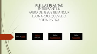 PLE: LAS PLANTAS
INTEGRANTES:
FABIO DE JESUS BETANCUR
LEONARDO QUEVEDO
SOFÌA RIVERA
PARA LEER
PARA
HACER
PARA
COMPARTIR
PARA
EVALUAR
 