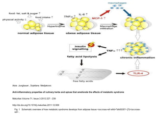 Alois Jungbauer , Svjetlana Medjakovic


Anti-inflammatory properties of culinary herbs and spices that ameliorate the effects of metabolic syndrome


Maturitas Volume 71, Issue 3 2012 227 - 239


http://dx.doi.org/10.1016/j.maturitas.2011.12.009

  Fig. 1 Schematic overview of how metabolic syndrome develops from adipose tissue <ce:cross-ref refid="bib0035"> [7]</ce:cross-
  ref> .
 