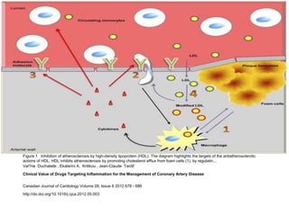 Figure 1 Inhibition of atherosclerosis by high-density lipoprotein (HDL). The diagram highlights the targets of the antiatherosclerotic
actions of HDL. HDL inhibits atherosclerosis by promoting cholesterol efflux from foam cells (1), by regulatin...
Val?rie Duchatelle , Ekaterini A. Kritikou , Jean-Claude Tardif

Clinical Value of Drugs Targeting Inflammation for the Management of Coronary Artery Disease


Canadian Journal of Cardiology Volume 28, Issue 6 2012 678 - 686

http://dx.doi.org/10.1016/j.cjca.2012.05.003
 