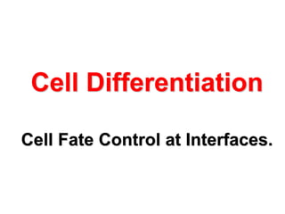 Cell Differentiation
Cell Fate Control at Interfaces.
 