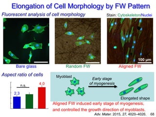 Elongation of Cell Morphology by FW Pattern
68
Bare glass Random FW Aligned FW
Fluorescent analysis of cell morphology Sta...