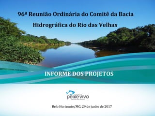1
96ª Reunião Ordinária do Comitê da Bacia
Hidrográfica do Rio das Velhas
Belo Horizonte/MG, 29 de junho de 2017
INFORME DOS PROJETOS
 