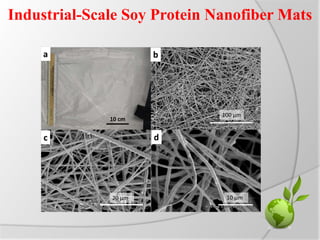 Industrial-Scale Soy Protein Nanofiber Mats
 