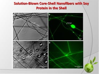 Solution-Blown Core-Shell Nanofibers with Soy
Protein in the Shell
 