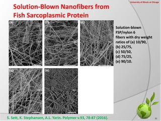 Solution-Blown Nanofibers from
Fish Sarcoplasmic Protein
33
University of Illinois at Chicago
Solution-blown
FSP/nylon 6
f...