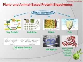 Plant- and Animal-Based Protein Biopolymers
Biofuel Byproducts
Cellulose
Cellulose Acetate
ZeinSoy Protein
Silk Sericin
Li...