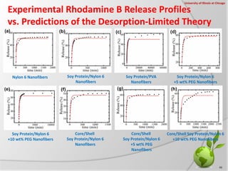 Experimental Rhodamine B Release Profiles
vs. Predictions of the Desorption-Limited Theory
46
Nylon 6 Nanofibers Soy Prote...