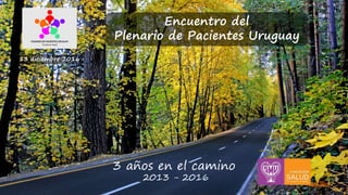 3 años en el camino
2013 - 2016
Encuentro del
Plenario de Pacientes Uruguay
13 diciembre 2016
 