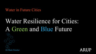 Water in Future Cities
Water Resilience for Cities:
A Green and Blue Future
Dr Mark Fletcher
 