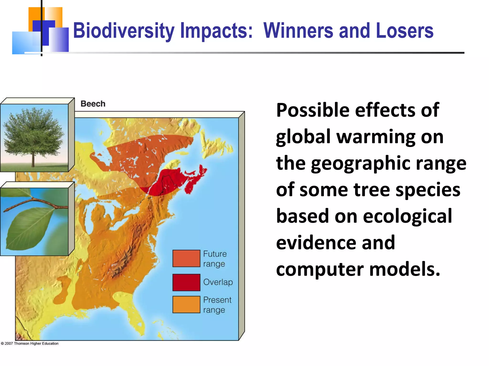 Biodiversity Impacts:  Winners and Losers Possible effects of global warming on the geographic range of some tree species based on ecological evidence and computer models. 
