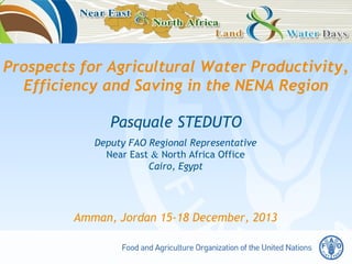 Prospects for Agricultural Water Productivity,
Efficiency and Saving in the NENA Region
Pasquale STEDUTO
Deputy FAO Regional Representative
Near East & North Africa Office
Cairo, Egypt

Amman, Jordan 15-18 December, 2013

 