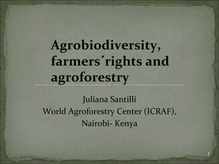 Agrobiodiversity,
  farmers´rights and
  agroforestry
         Juliana Santilli
World Agroforestry Center (ICRAF),
         Nairobi- Kenya


                                     1
 