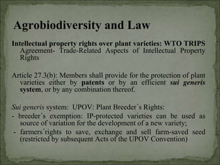 Agrobiodiversity, farmers´rights and agroforestry