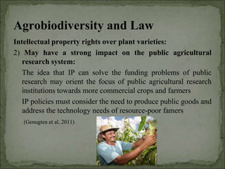 Agrobiodiversity, farmers´rights and agroforestry