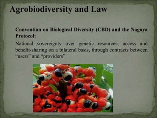 Agrobiodiversity, farmers´rights and agroforestry