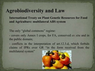 Agrobiodiversity, farmers´rights and agroforestry